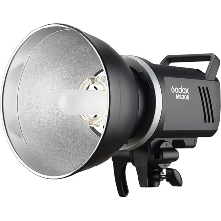 Godox MS 300 Flash Head