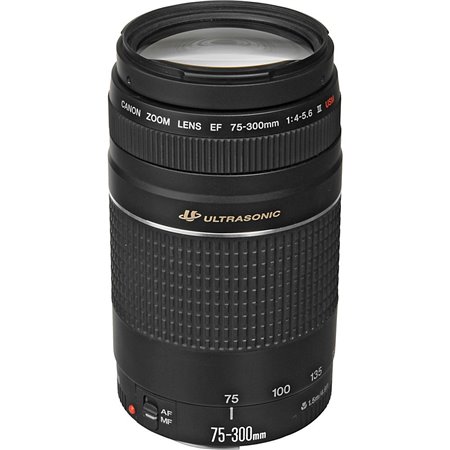 Canon EF-S 55-250mm f/4-5.6 IS STM Canon EF-S 55-250mm f/4-5.6 IS STM